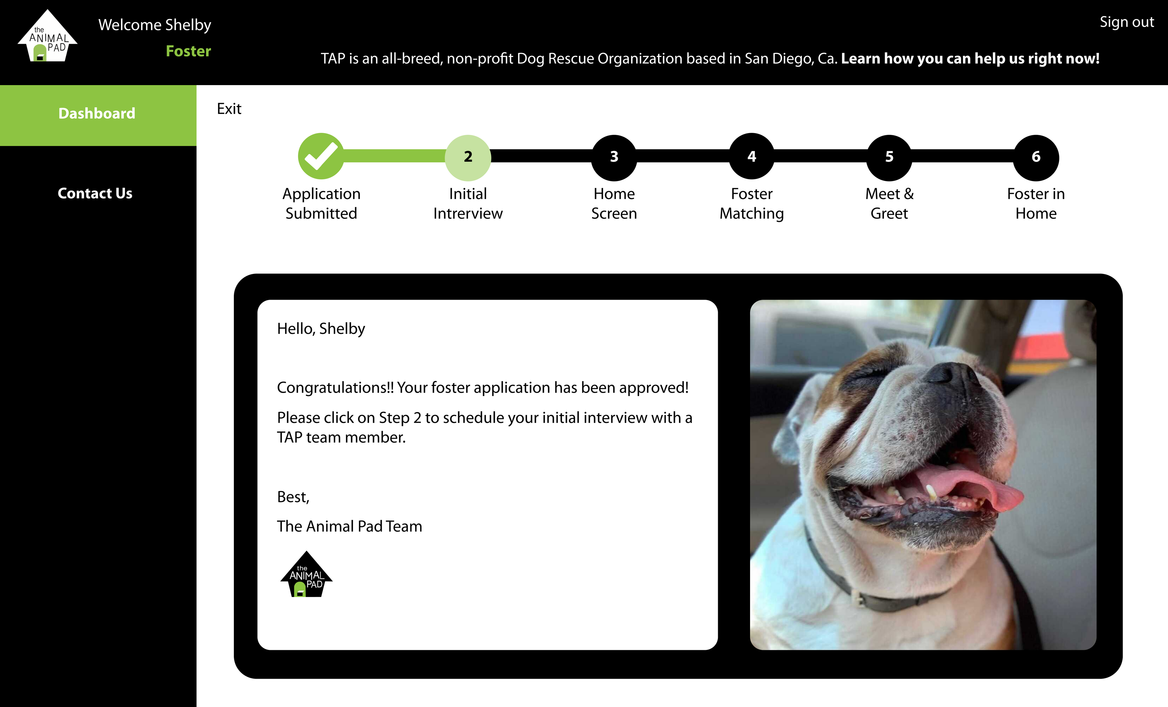 Thumbnail of TAP Foster Dog Matching Tool